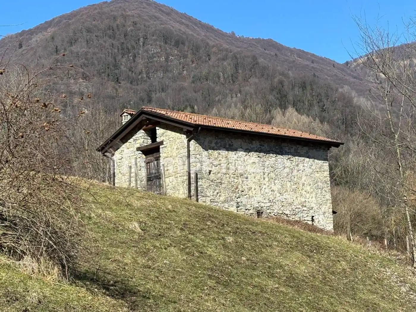 Rustico Sp24, Vedeseta - foto 5