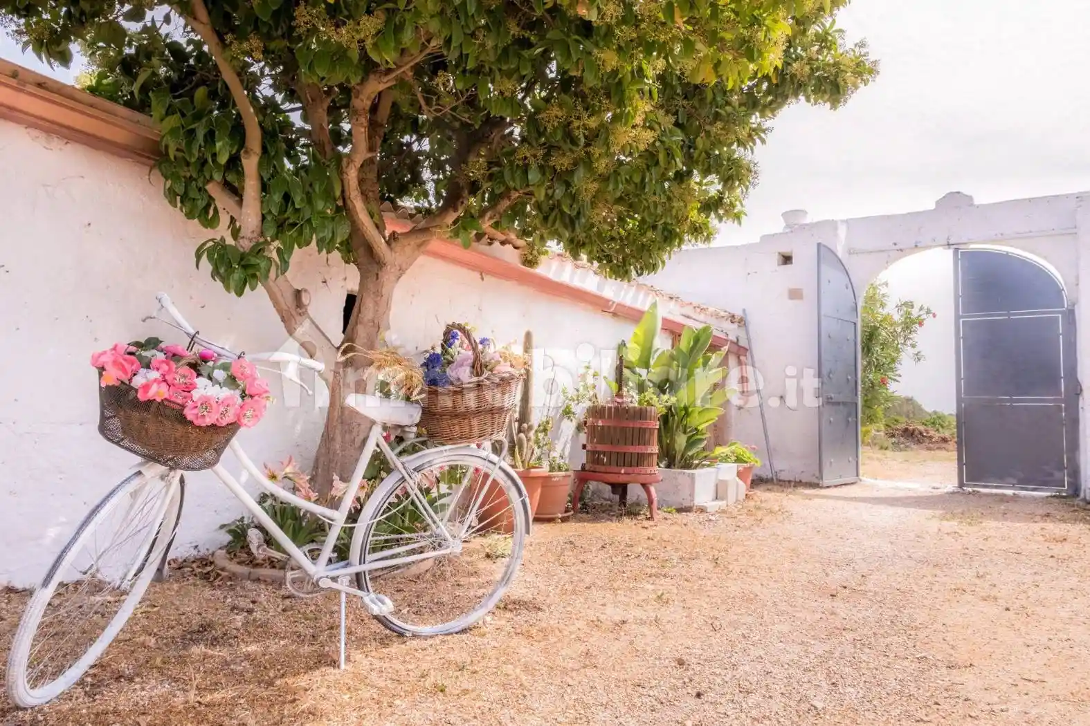 Rustico - Casale - foto 5