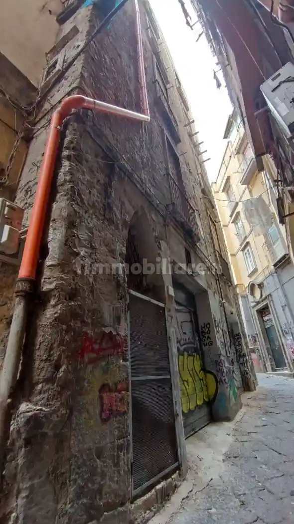 Palazzo - Edificio - foto 5