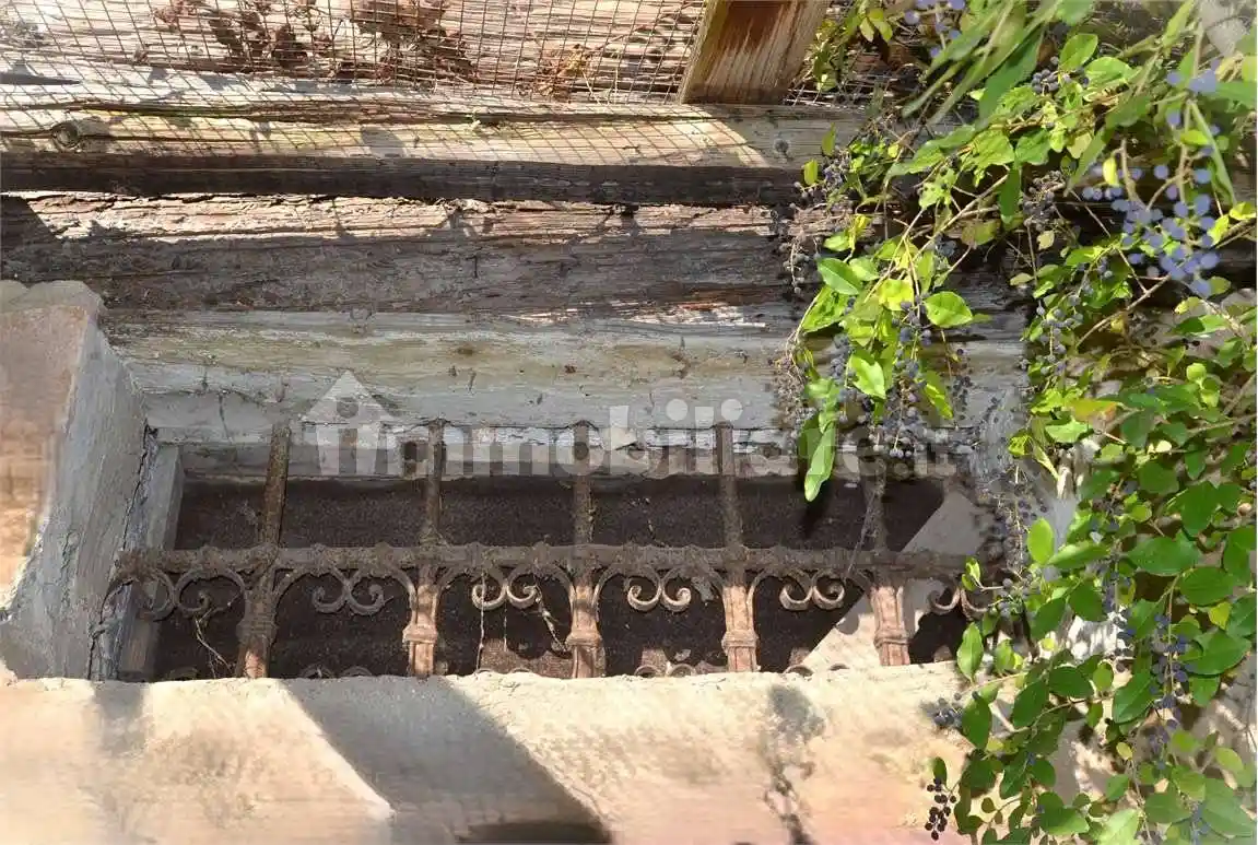Rustico via del Carmine, Frazioni di Casale sul Sile, Casale sul Sile - foto 2