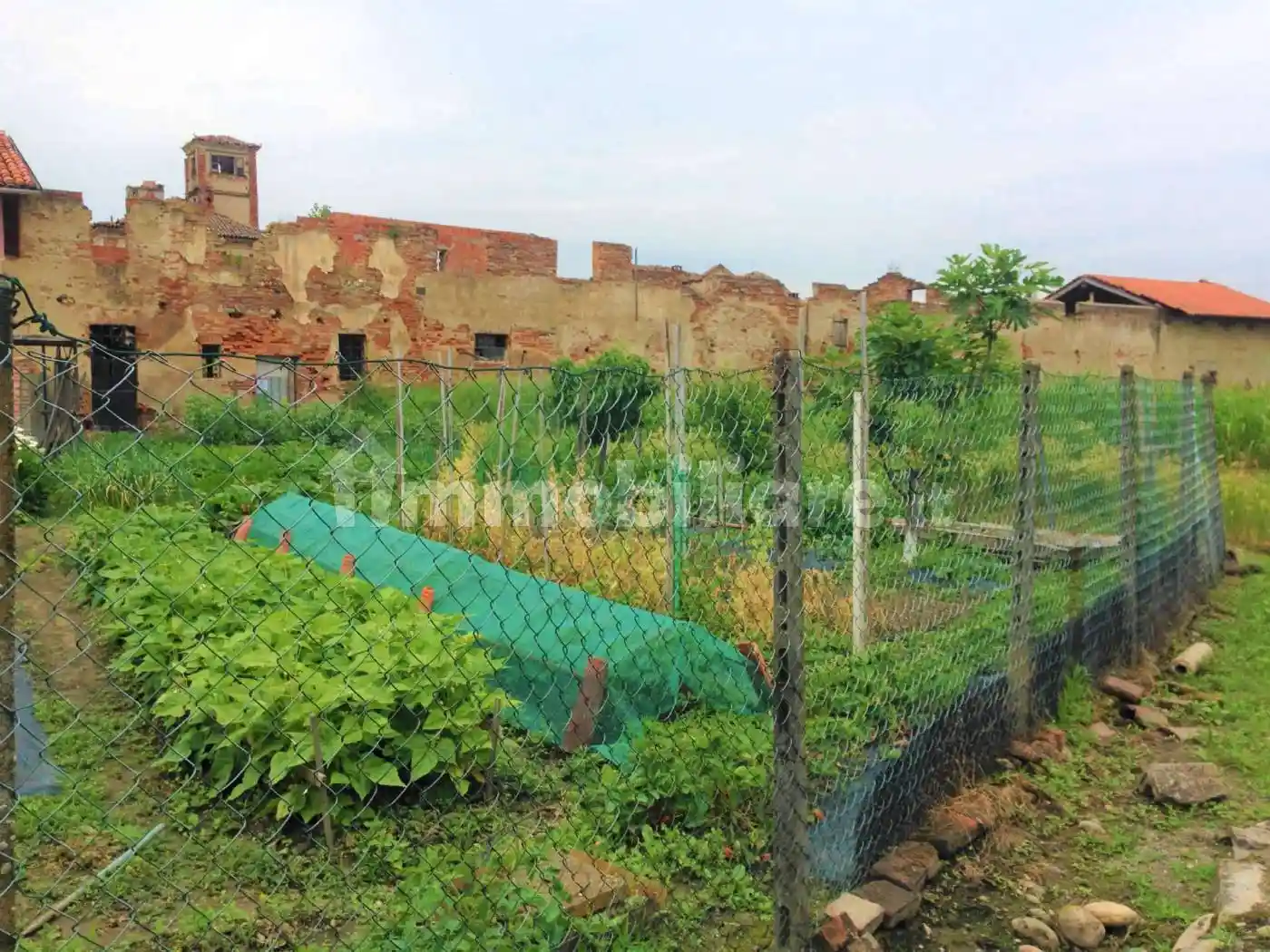 Rustico - Casale in vendita a Crescentino