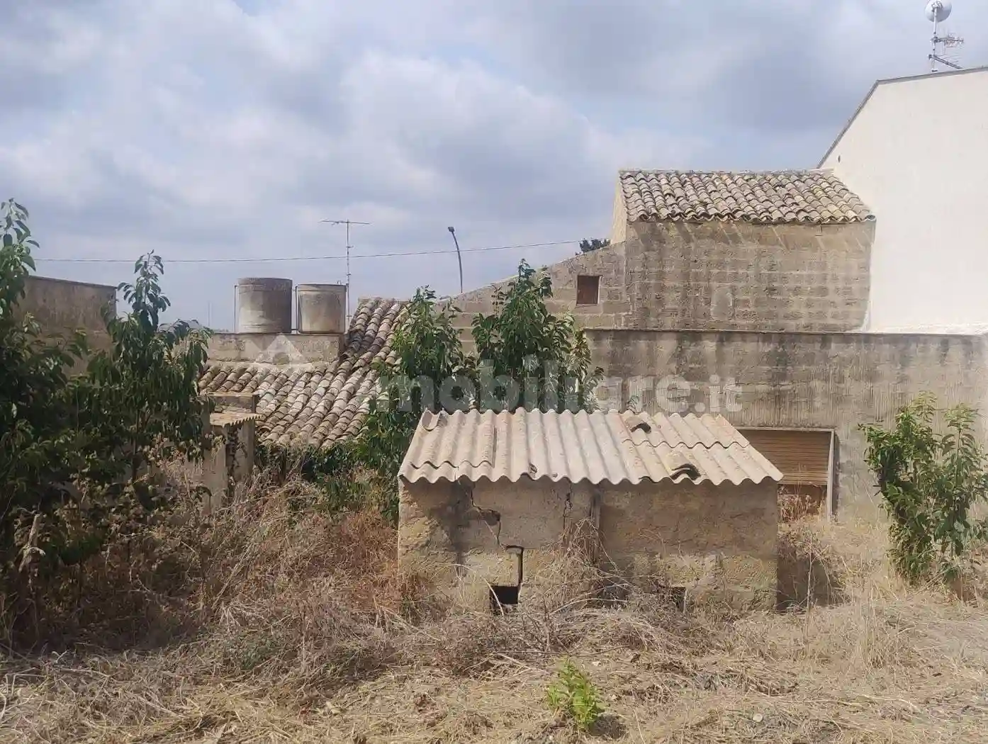 Palazzo - Edificio - foto 3