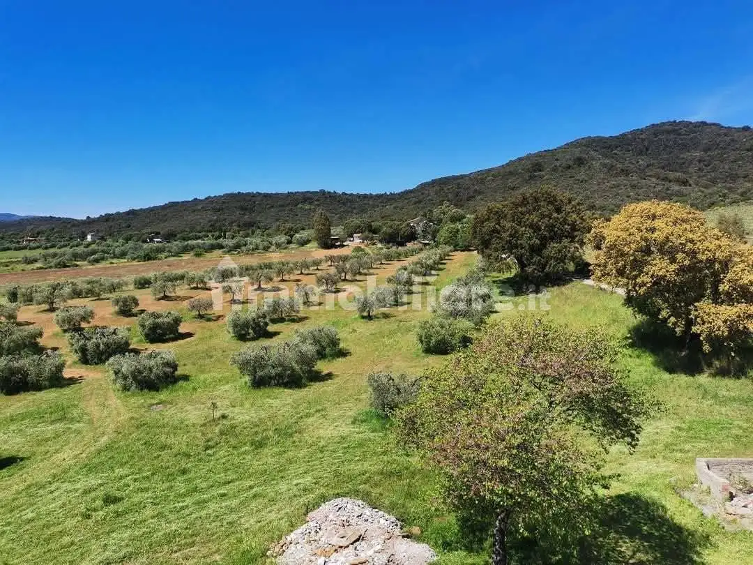 Casale Strada Vicinale di Cacciagrande, Tirli, Vetulonia, Buriano, Castiglione della Pescaia - foto 5