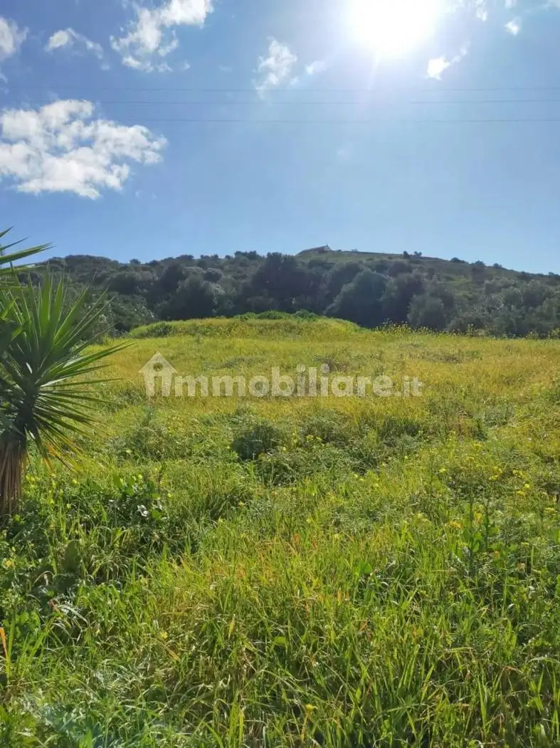 Palazzo - Edificio in vendita a Bauladu
