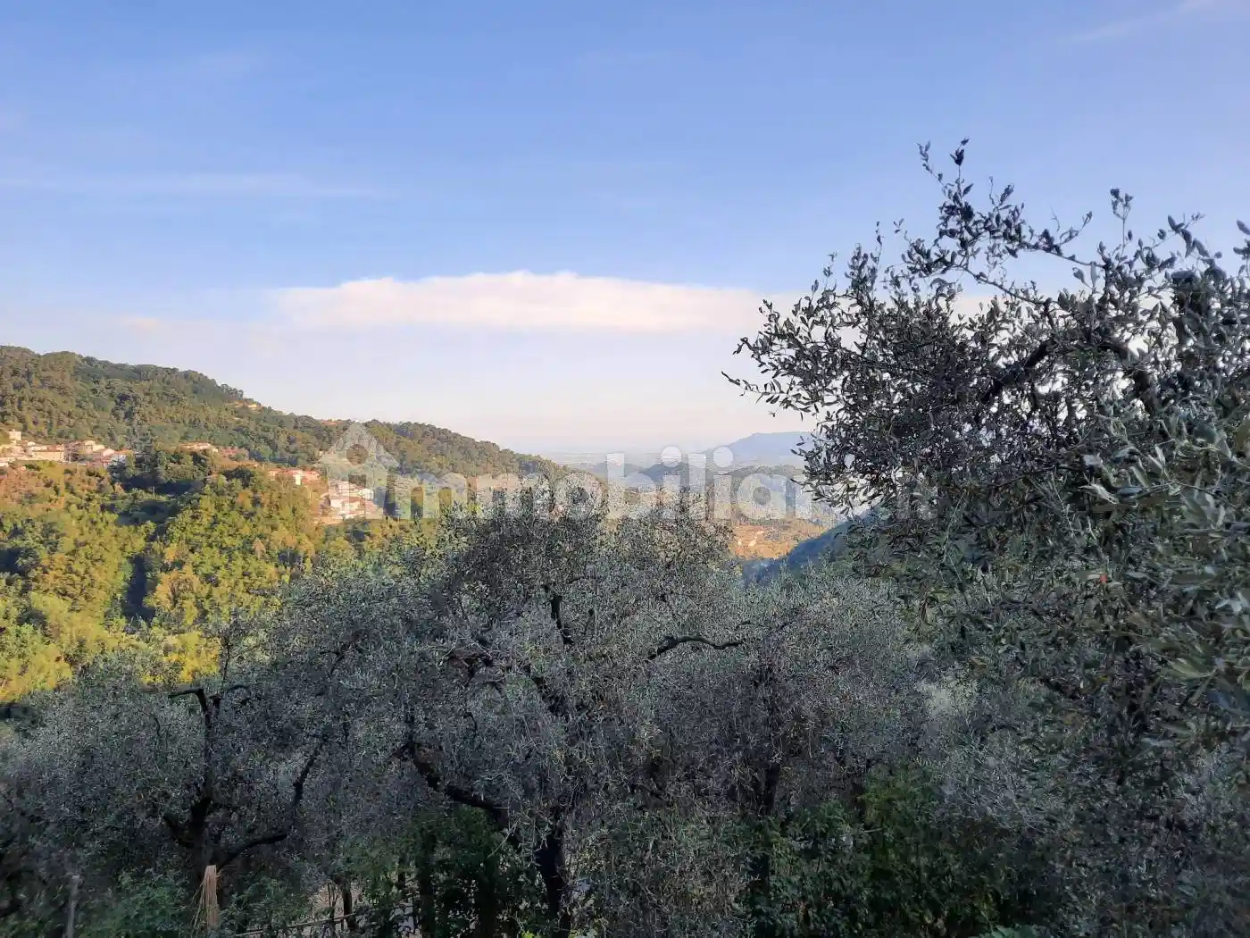 Rustico - Casale in vendita a Santo Stefano di Magra