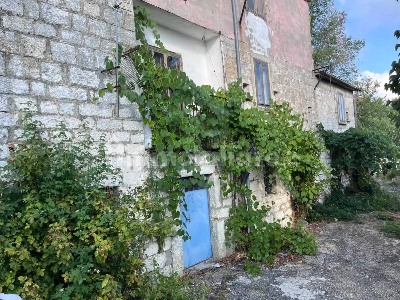 Masseria Strada Statale Istonia, Castiglione Messer Marino - foto 5