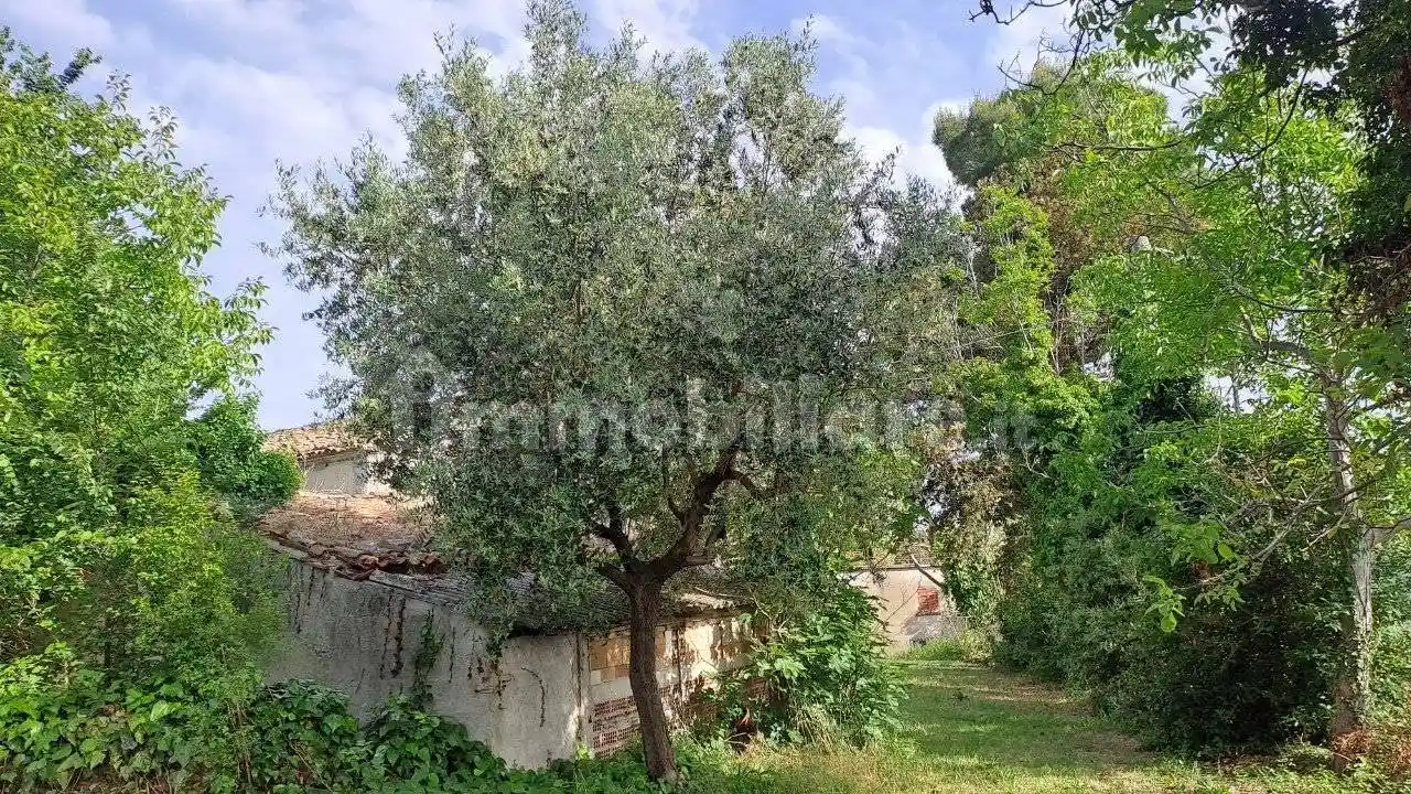 Rustico Località Carignano 103, Fenile - Carignano, Fano - foto 3