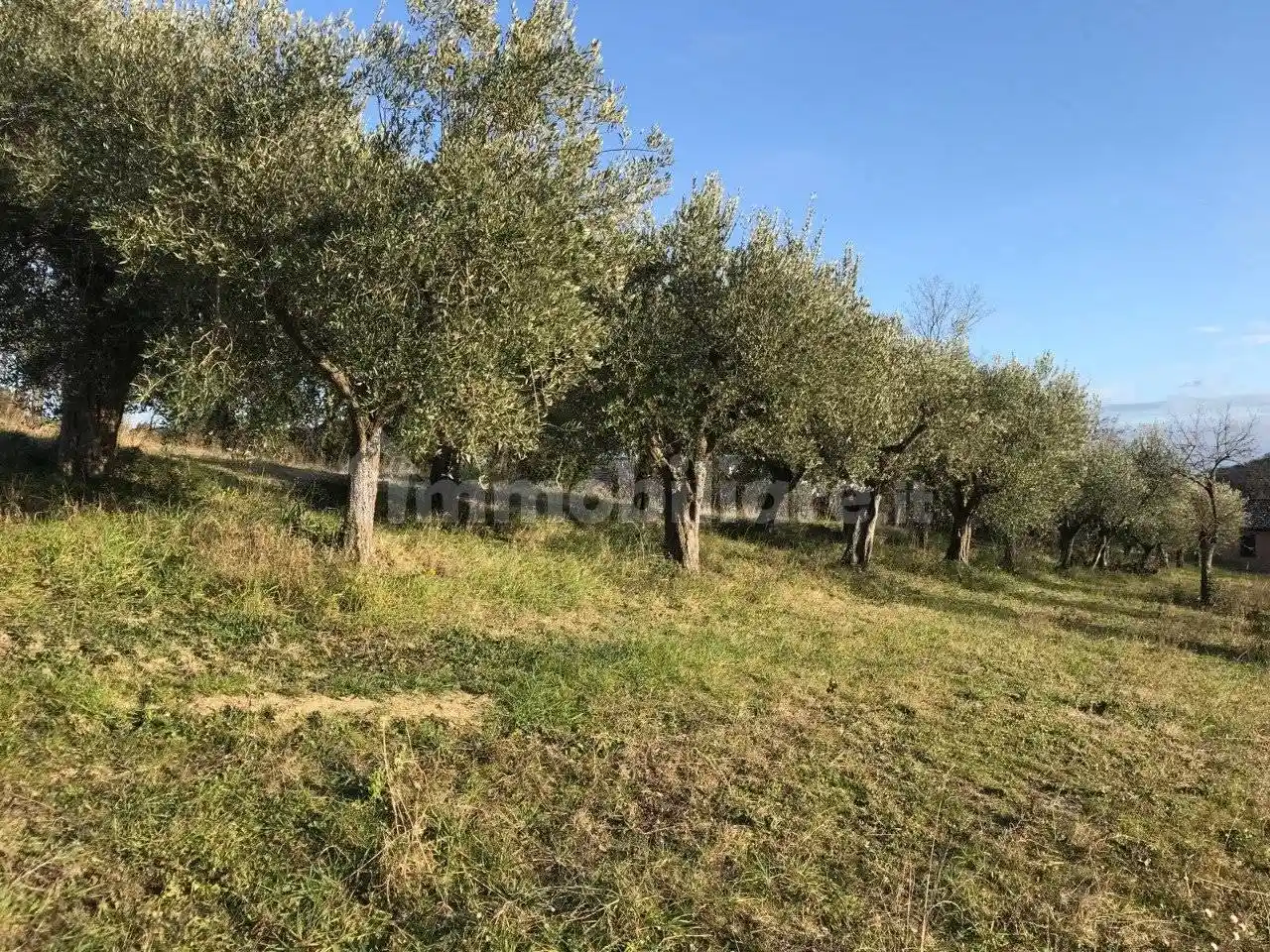 Rustico Località Carignano 103, Fenile - Carignano, Fano - foto 5