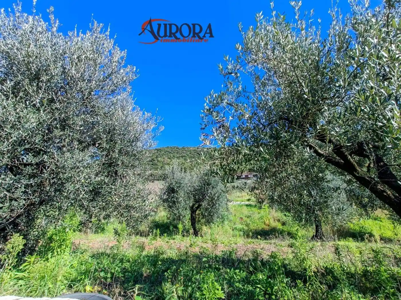 Villa in vendita a Monte San Biagio