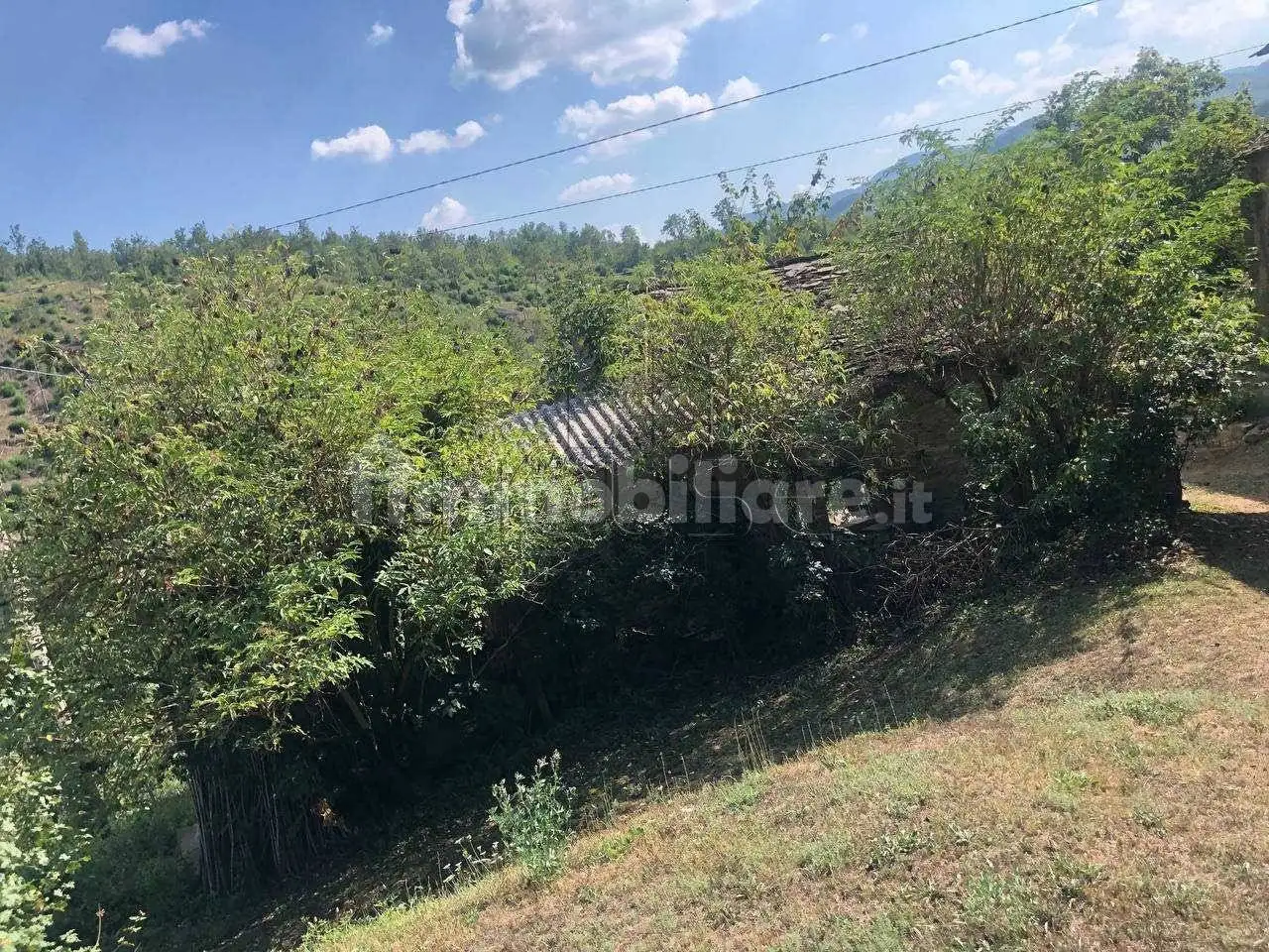 Rustico Montelabreve, Badia Tedalda - foto 2