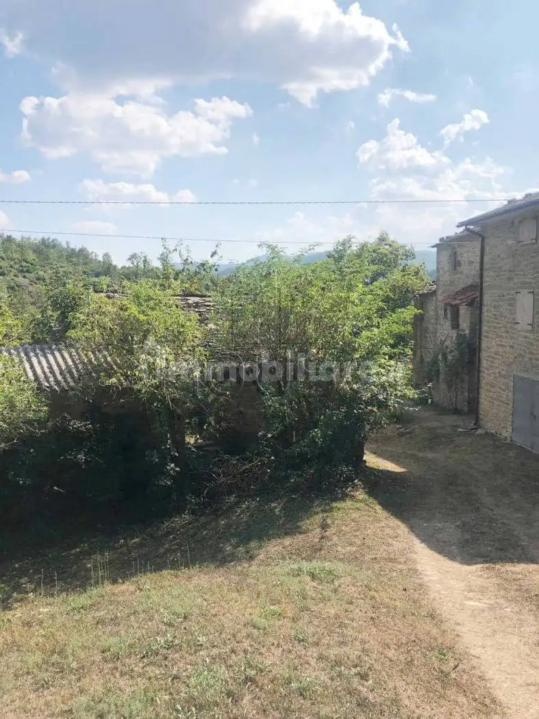 Rustico Montelabreve, Badia Tedalda - foto 4