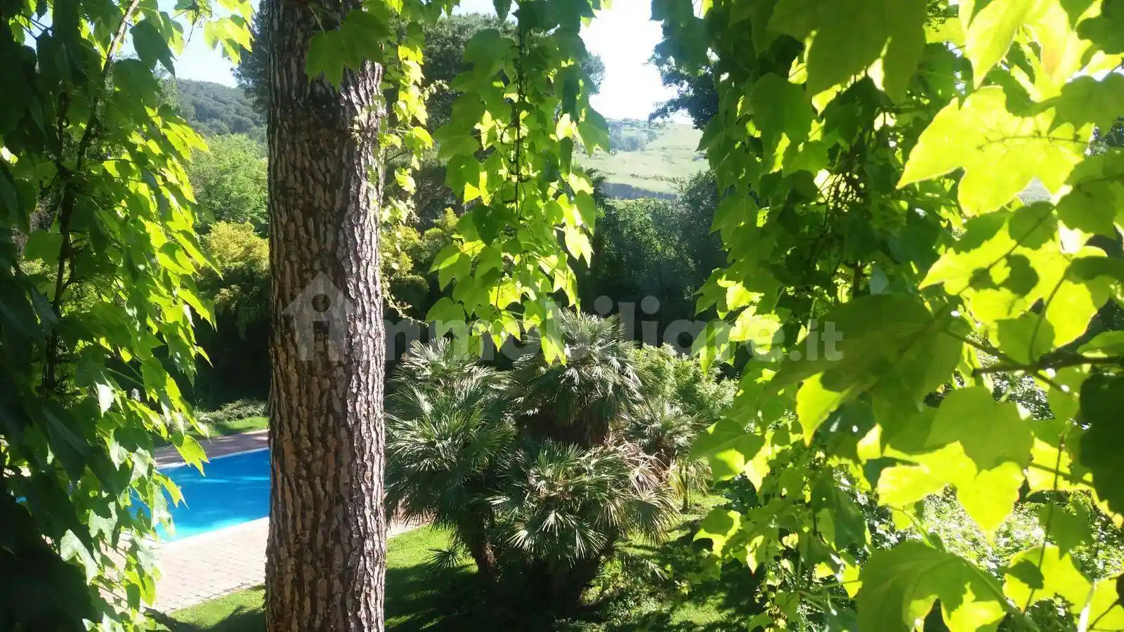 Appartamento in affitto a Grottaferrata