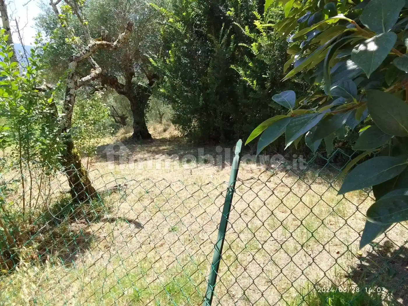 Palazzo - Edificio - foto 5