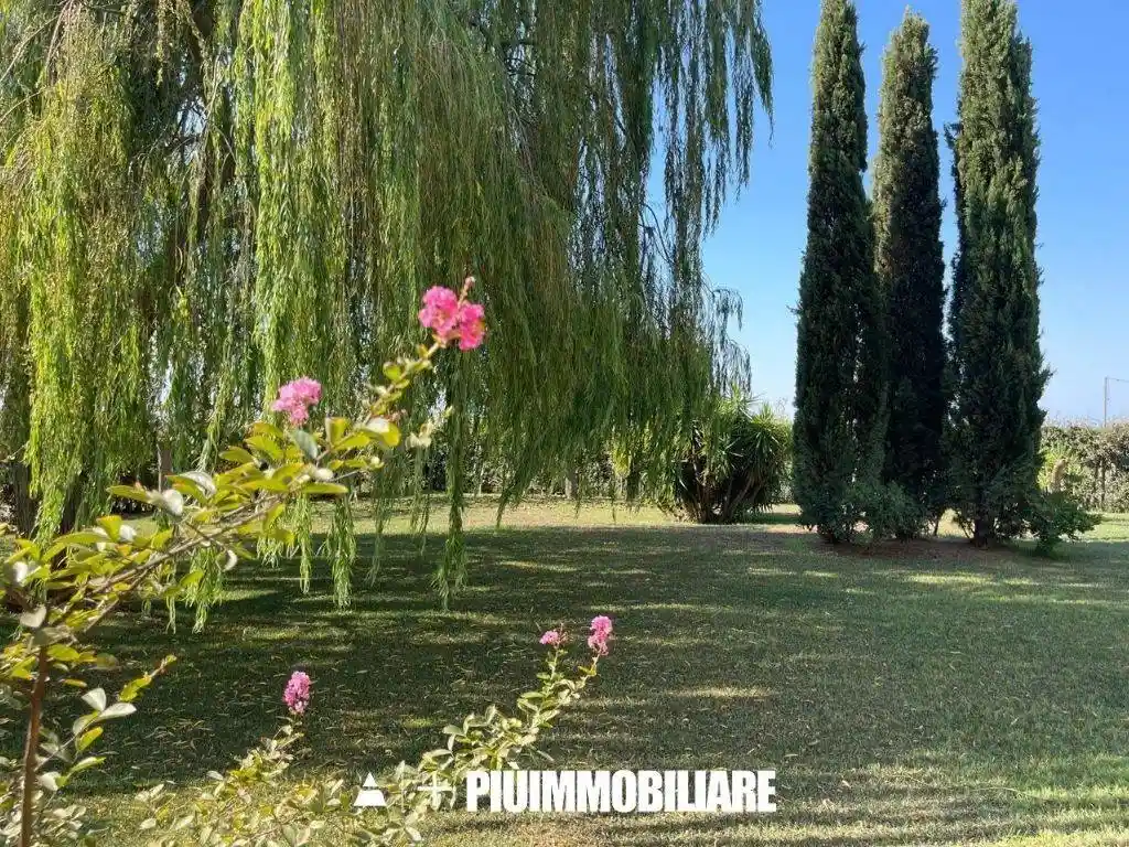 Appartamento in villa, ottimo stato, 50 m², Bernalda - foto 4