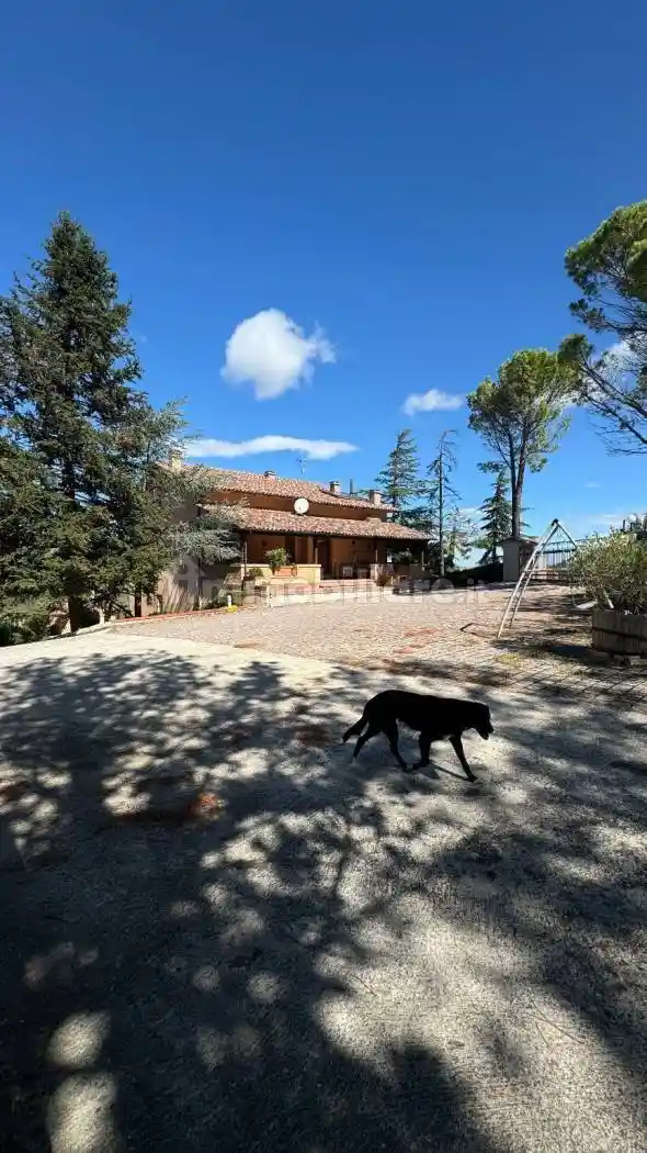 Villa unifamiliare Contrada Cete, Colmurano - foto 2