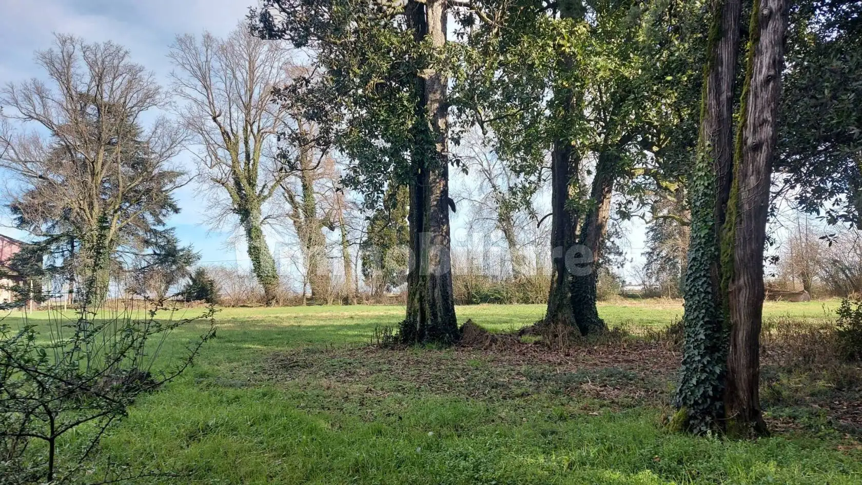 Rustico - Casale in vendita a Corte Palasio