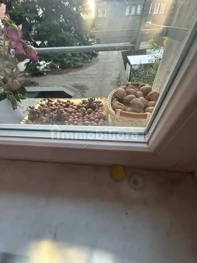 Trilocale ottimo stato, primo piano, Pista, Alessandria - foto 3