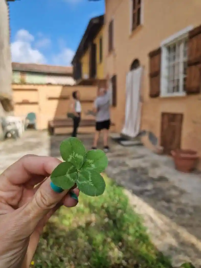 Cascina Cascina Monzigatto 44, Altavilla Monferrato - foto 5