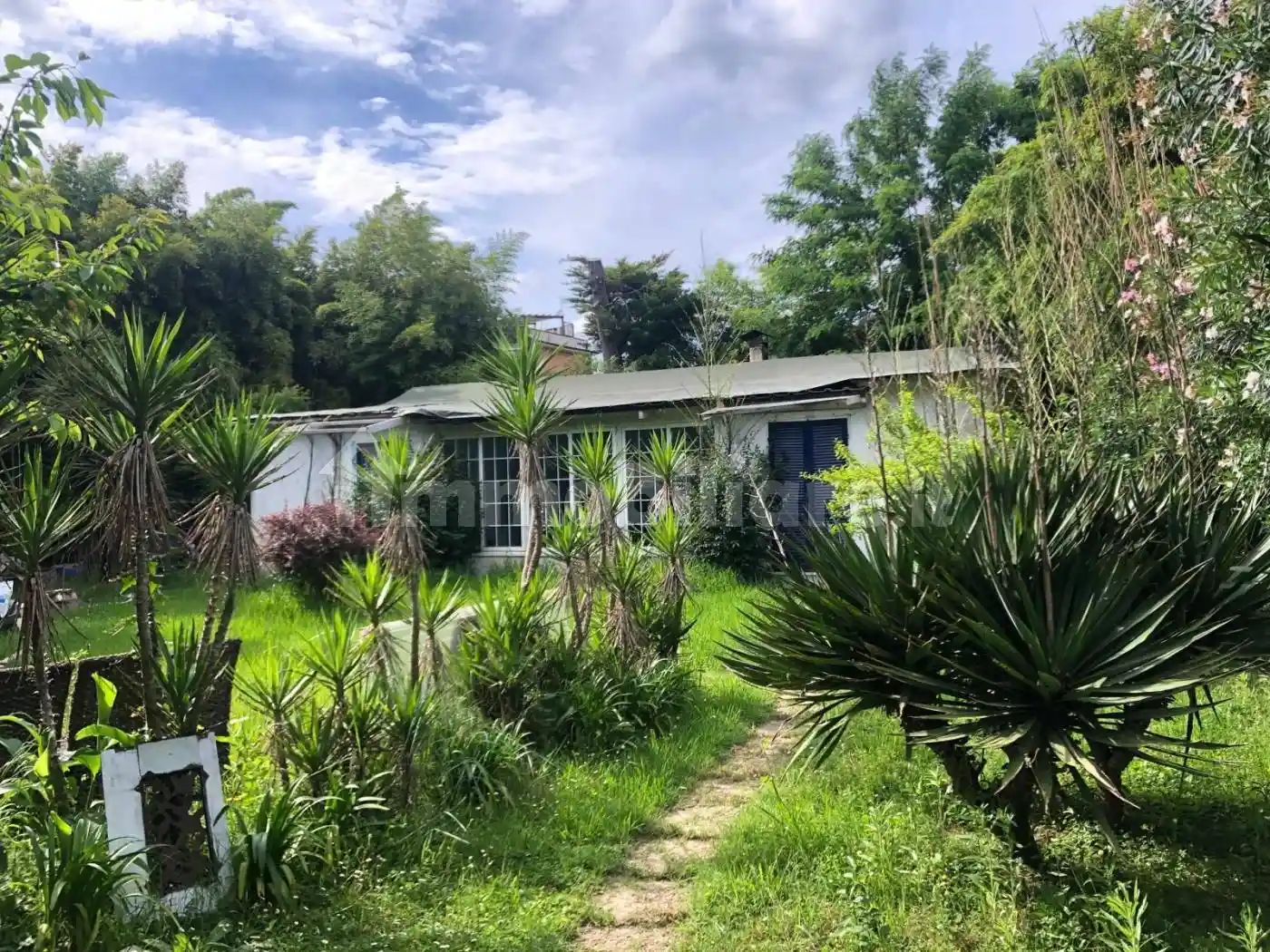 Villa in vendita a Ameglia