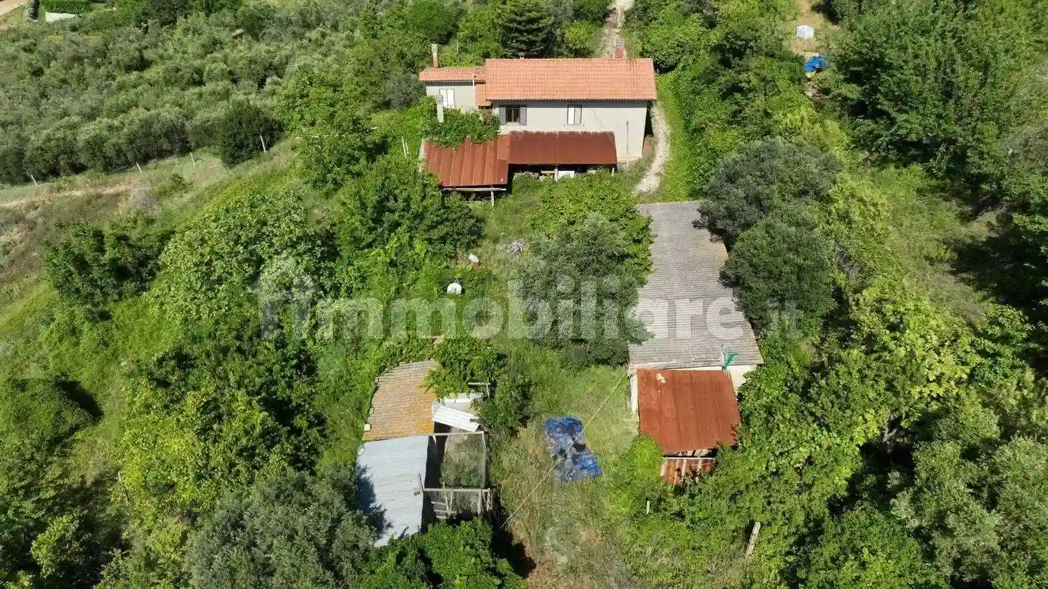 Rustico - Casale - foto 5