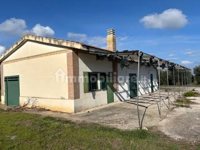 Rustico - Casale in vendita a Guglionesi