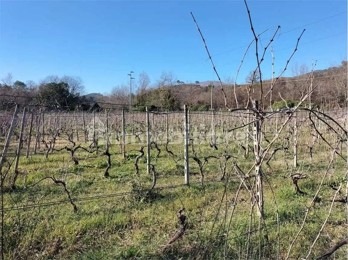 Rustico - Casale in vendita a Albenga