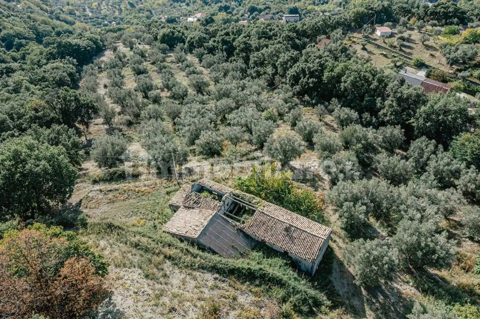 Casale viale Vincenzo Gattoleo, Pontegrande - Sant'Elia, Catanzaro - foto 5