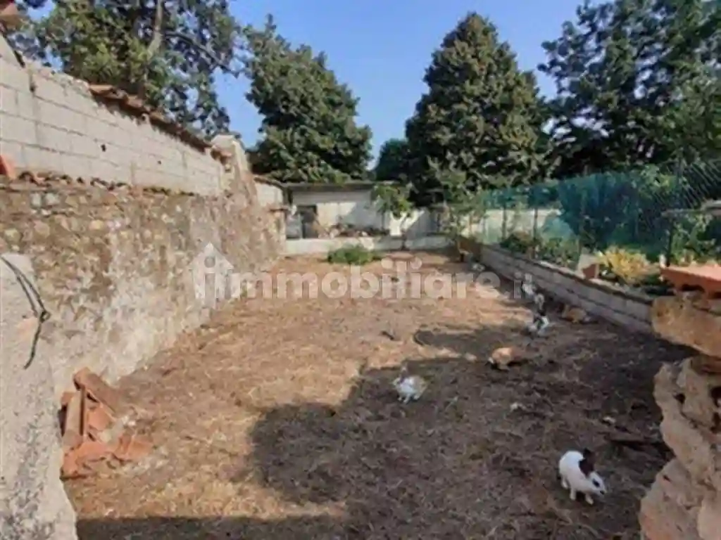 Palazzo - Edificio - foto 2