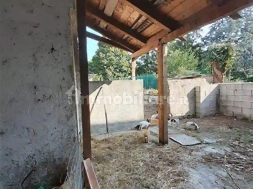 Palazzo - Edificio - foto 4