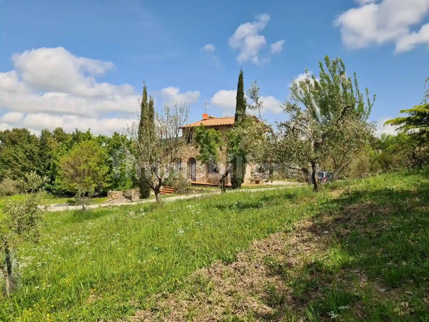 Rustico - Casale - foto 3