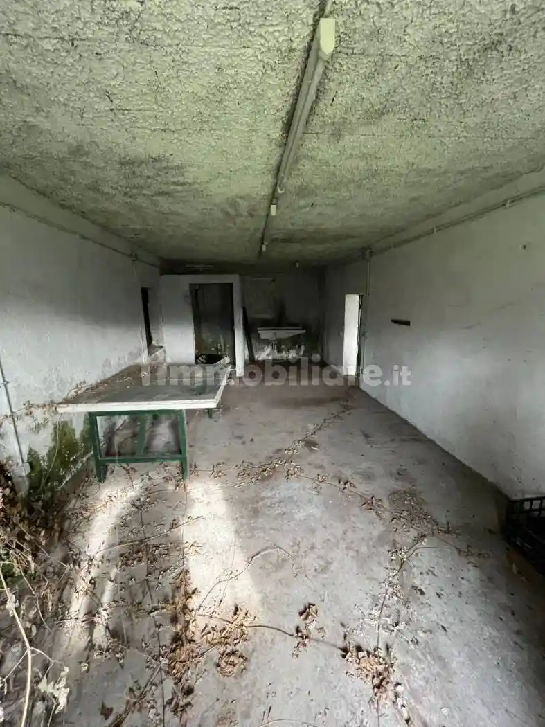 Rustico via degli Scozzesi 17, Castel de Paolis, Grottaferrata - foto 5