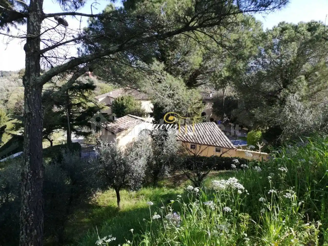 Villa in vendita a Crespina e Lorenzana