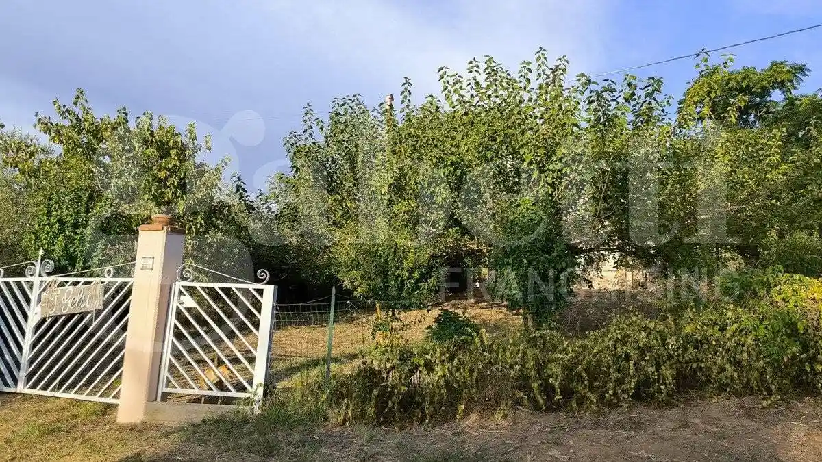 Casa indipendente in vendita a Scarlino