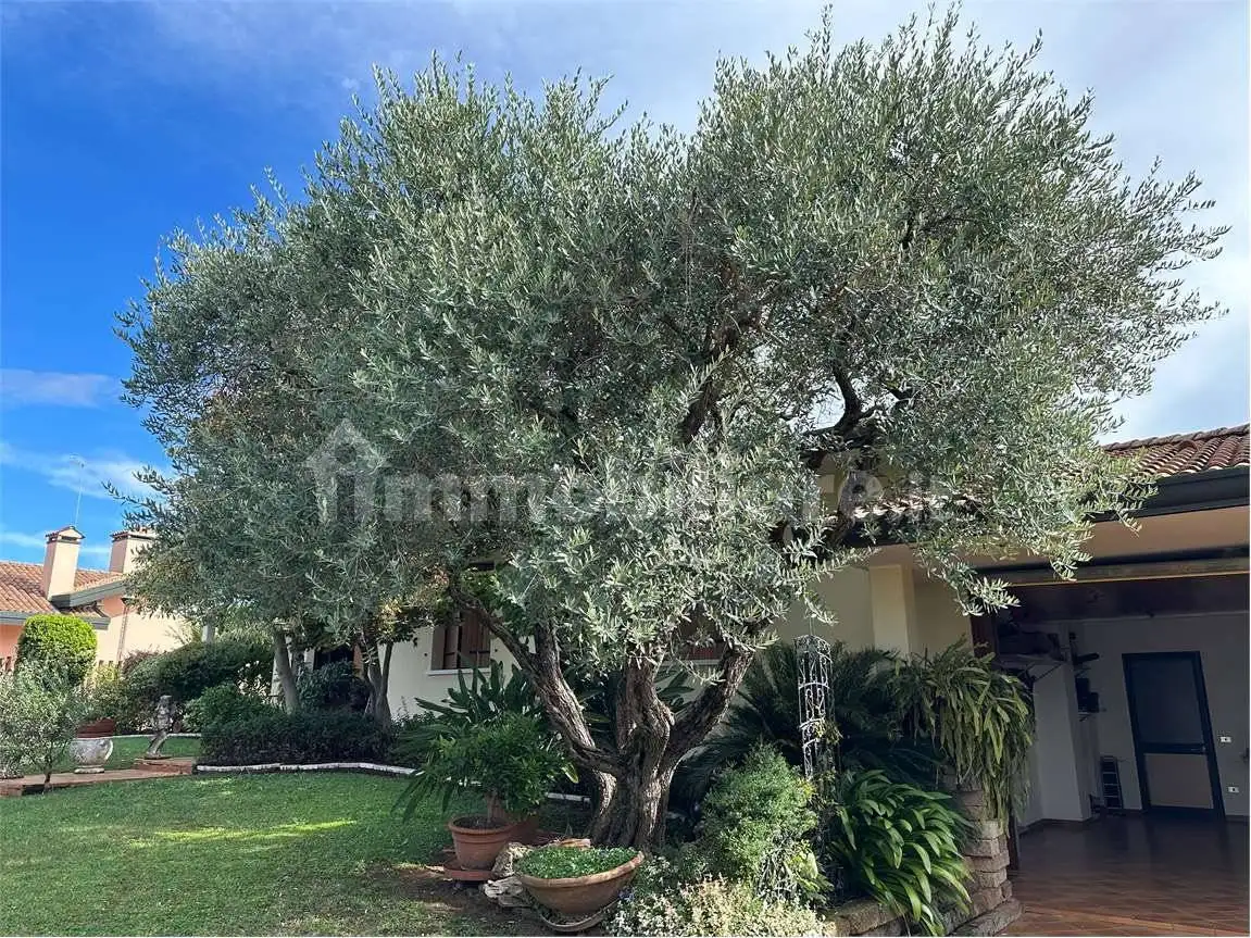 Villa unifamiliare, buono stato, 300 m², Centro, Altivole - foto 3