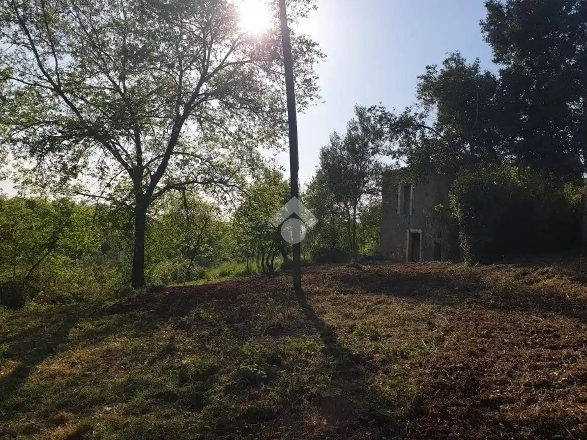 Rustico Contrada Mandraglie, Maierà - foto 4