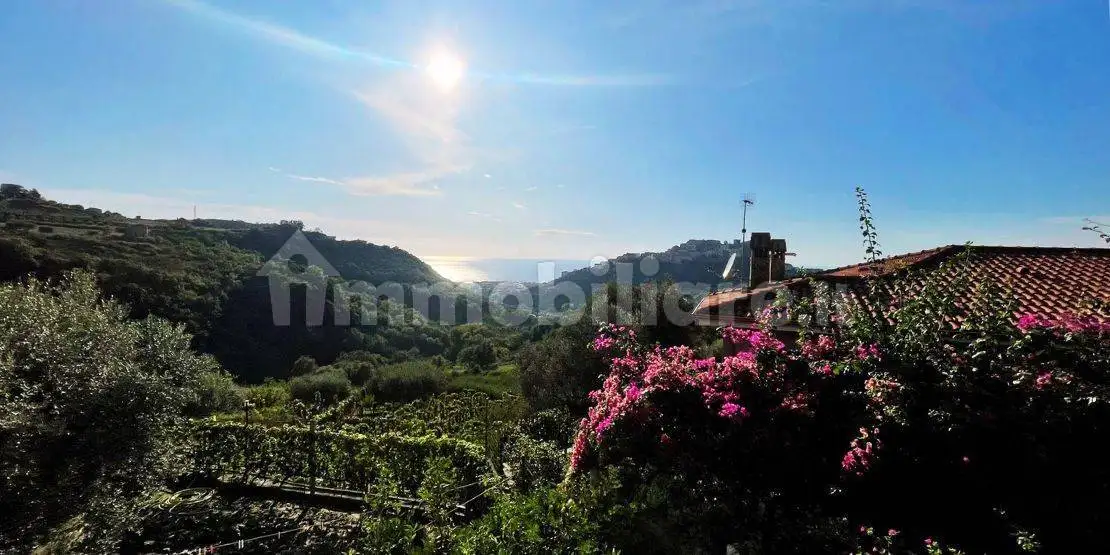 Villa in vendita a Belvedere Marittimo