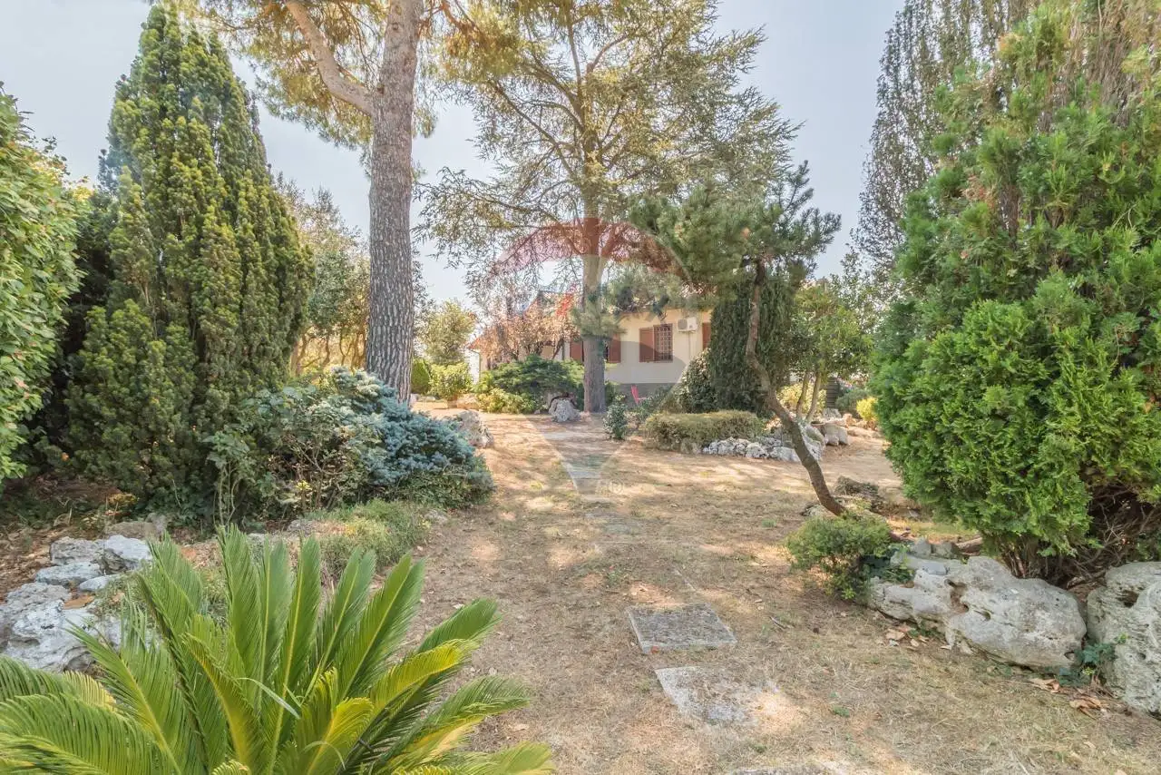 Villa unifamiliare via Roma 25, Centro, Celleno - foto 3