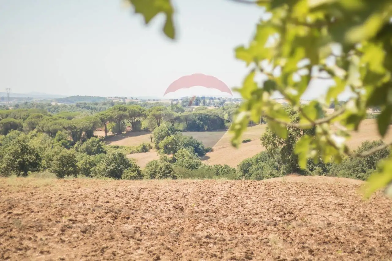 Villa unifamiliare via Roma 25, Centro, Celleno - foto 4