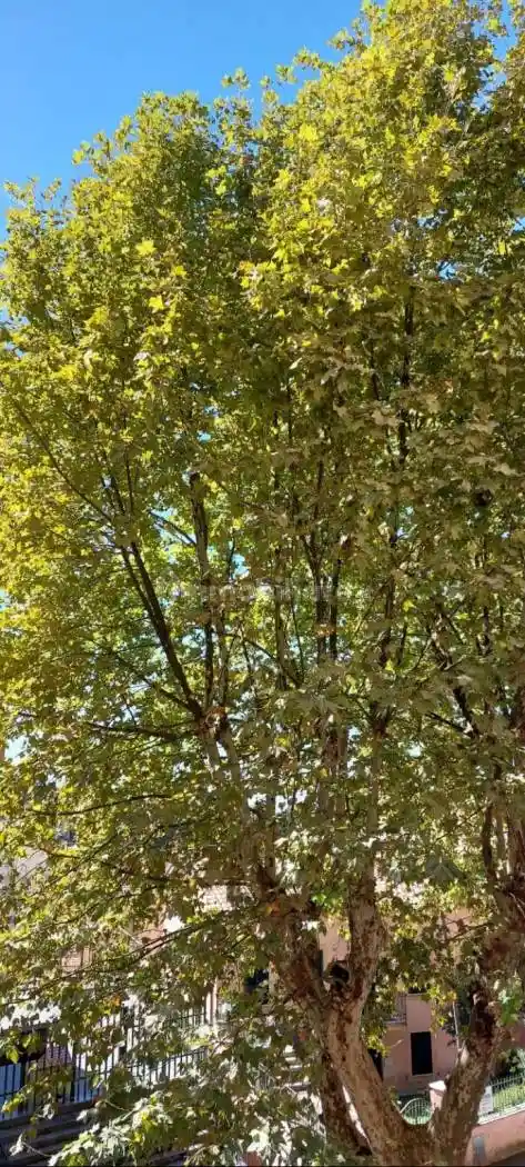 Appartamento in vendita a Poggio Mirteto