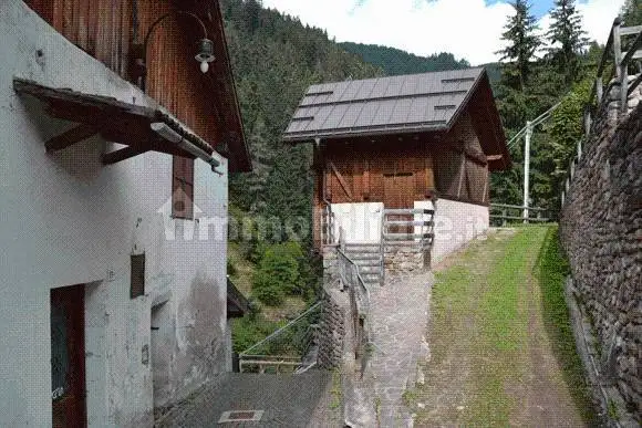 Rustico - Casale in vendita a Pellizzano