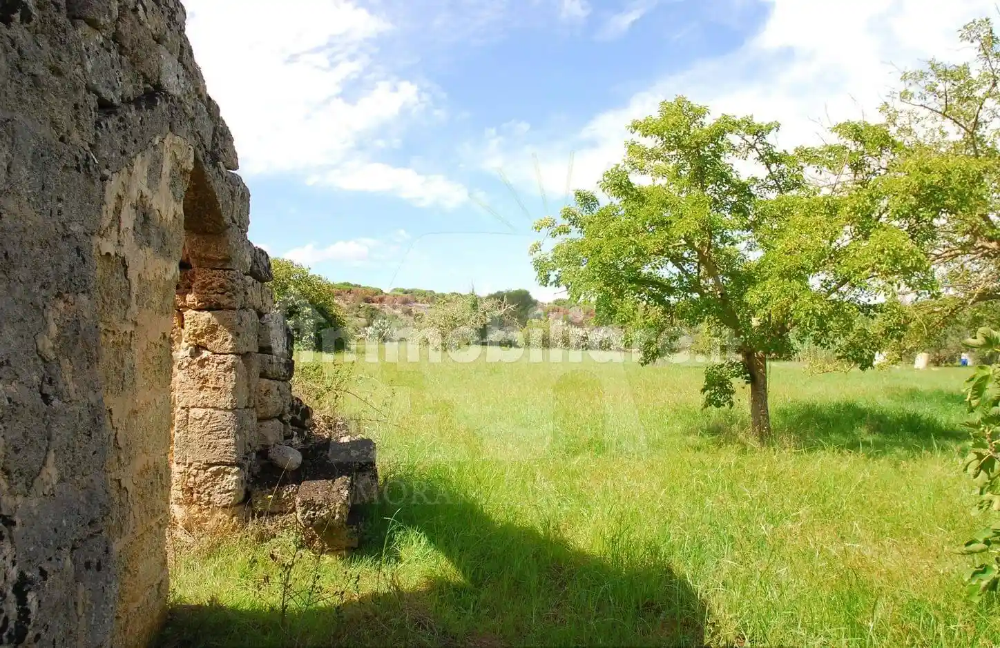 Rustico - Casale in vendita a Presicce-Acquarica