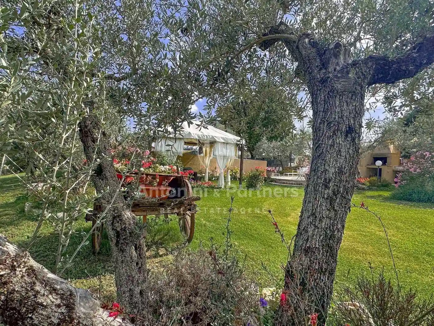 Rustico - Casale - foto 5