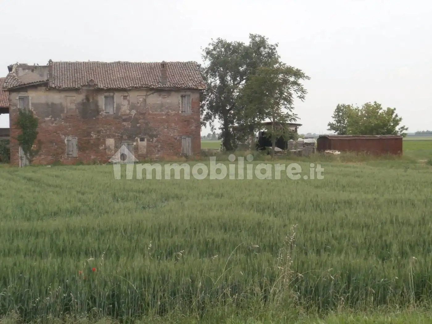 Rustico - Casale in vendita a Medicina