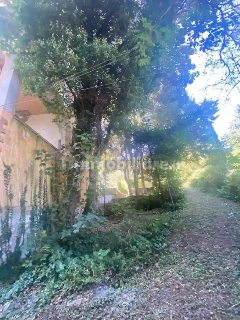 Palazzo - Edificio - foto 5