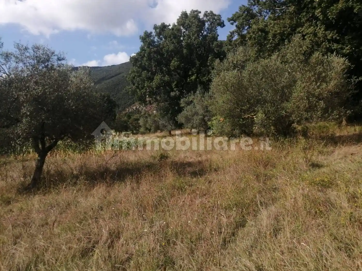 Casale via Italia, Trentinara - foto 5