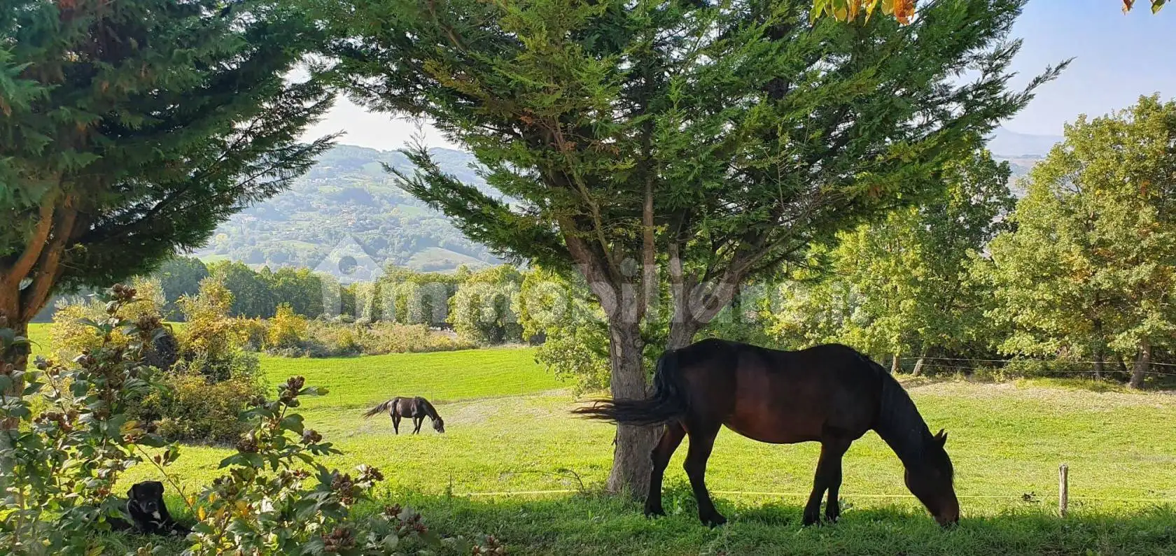 Trilocale Lago Ranallo, Baranello - foto 2