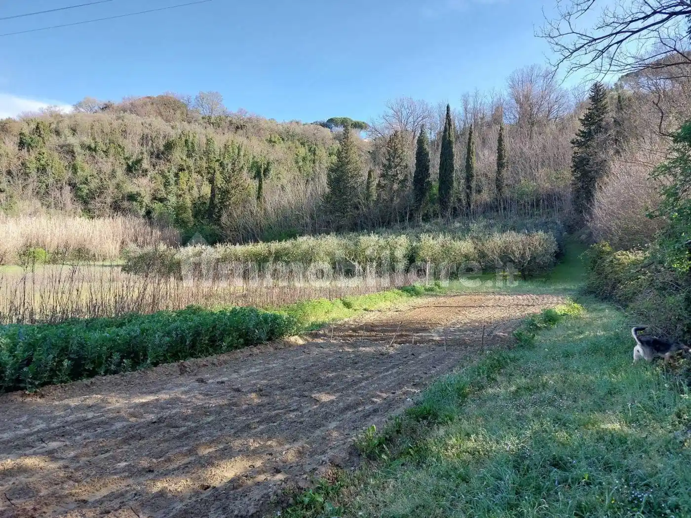 Casa indipendente in vendita a Palaia