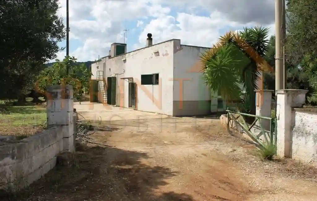 Rustico - Casale - foto 4