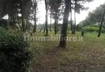 Villa all'asta Località Facciolo, Vibo Valentia - foto 5