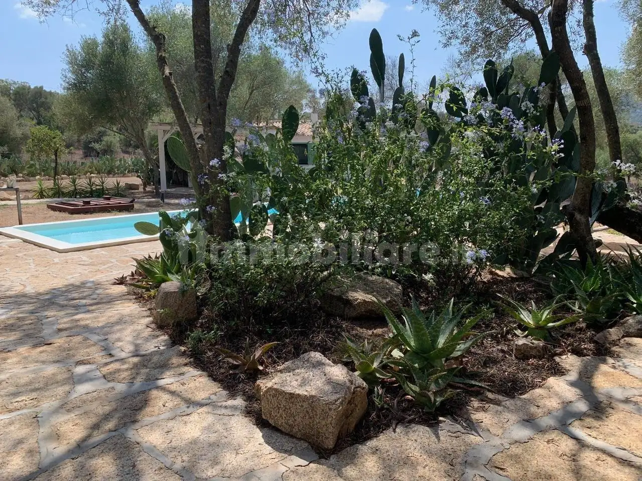 Villa in vendita a Olbia